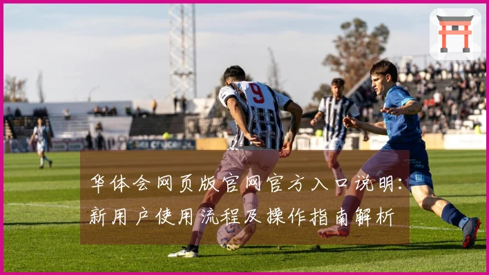 华体会网页版官网官方入口说明：新用户使用流程及操作指南解析